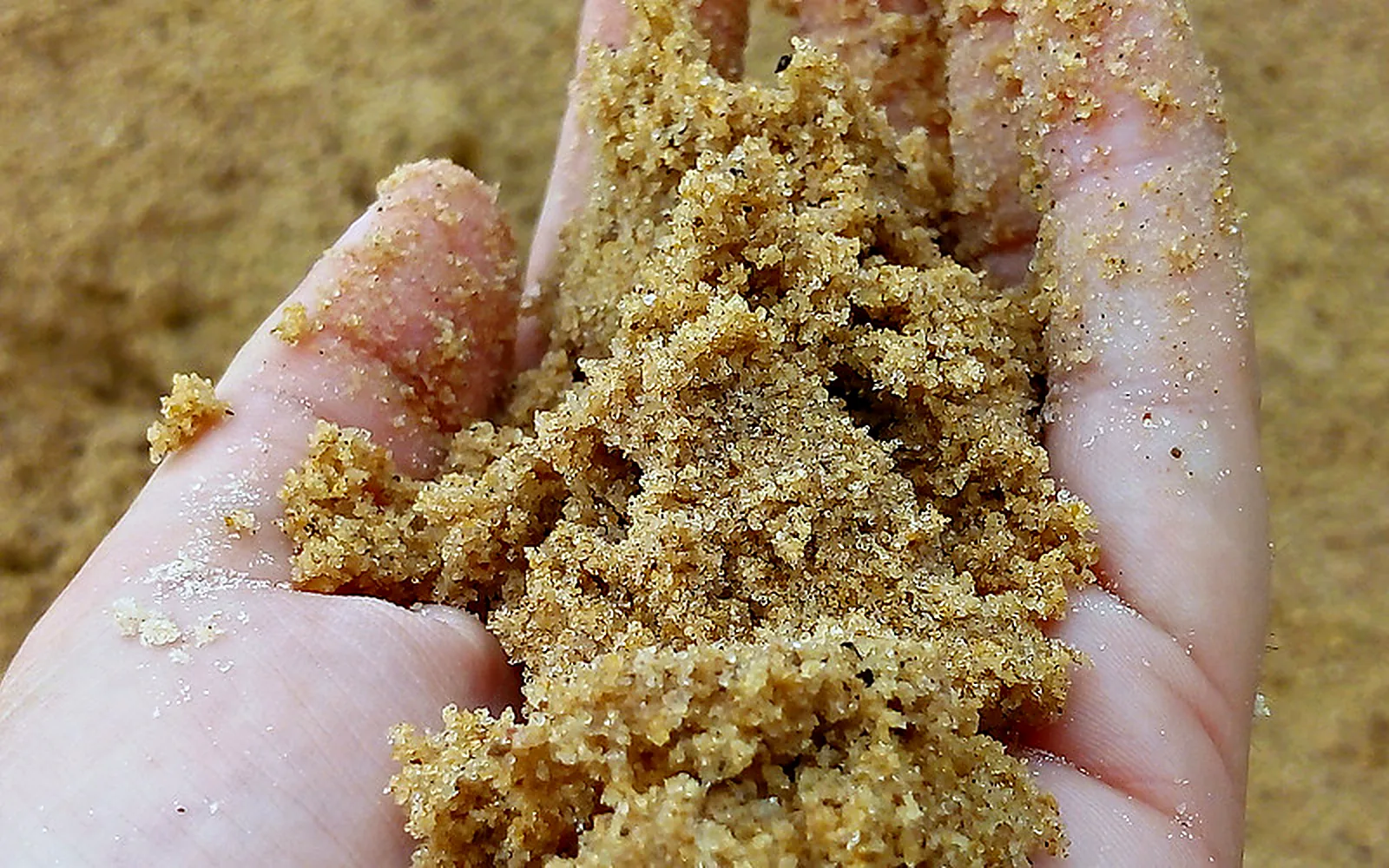 Areia média